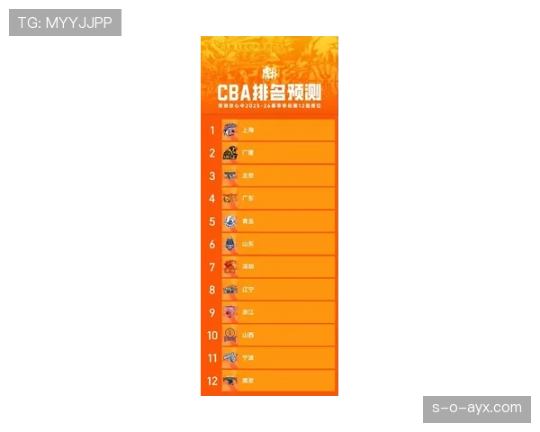 新赛季球队名单公布，球迷热议阵容变动引期待