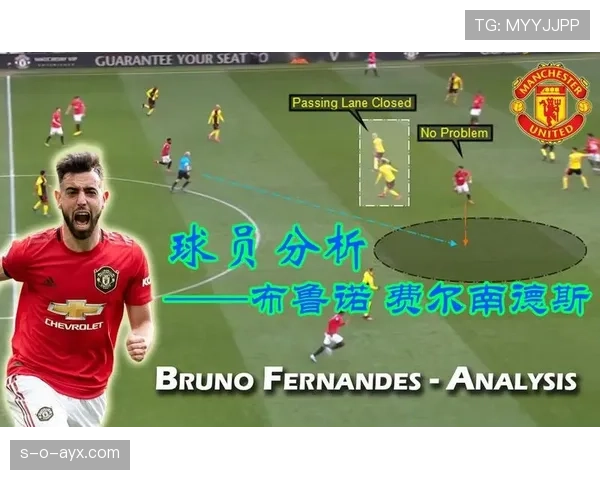 布鲁诺最佳位置分析