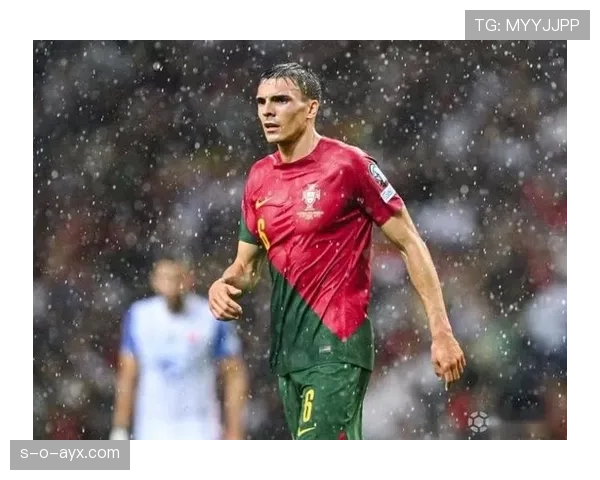 在葡萄牙体育成为防守核心：帕利尼亚的成名赛季