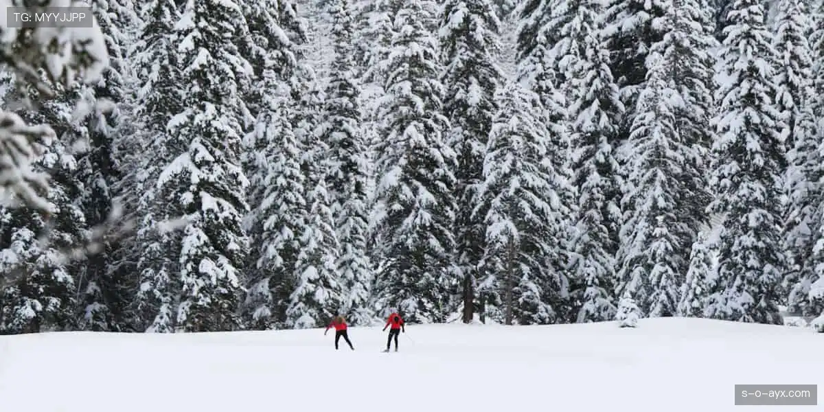 🏅荣耀见证,每一份汗水都值得铭记!🎉